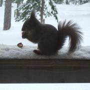 Sodankylä 19/03/2012