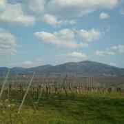 Freiburg im Breisgau 26/03/2012