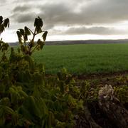 Poiseul-lès-Saulx 18/04/2012