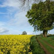 Champagné-Saint-Hilaire 24/04/2012