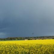 Champagné-Saint-Hilaire 24/04/2012