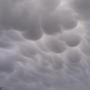 Branoux-les-Taillades 30/04/2012