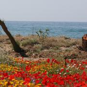 Réthymnon 11/05/2012