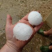 Montbarrey 01/07/2012