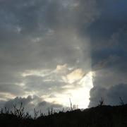 Loupfougères 10/07/2012