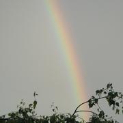 Loupfougères 13/07/2012