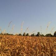 Kernascléden 23/07/2012