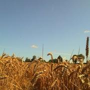 Kernascléden 30/07/2012