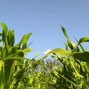 Kernascléden 31/07/2012