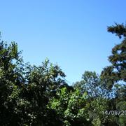 Saint-Jean-du-Bruel 17/08/2012