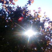 Rosiers-d'Égletons 17/08/2012