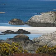Fort William 29/07/2009