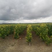 Vert-Toulon 26/09/2012