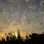 Vertheuil 06/10/2012