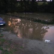 Javron-les-Chapelles 19/10/2012