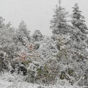 La Brigue 30/10/2012