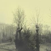 Saint-Pierre-de-Trivisy 03/12/2012