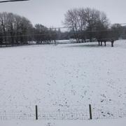 Vadencourt 07/12/2012