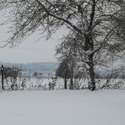 Maisoncelles 08/12/2012