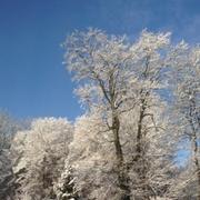 Liebsdorf 10/12/2012