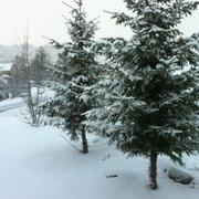 Grandvals 11/12/2012