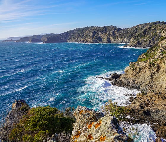 Météo Marine - Previsions Marine gratuites à 15 jours - METEO CONSULT