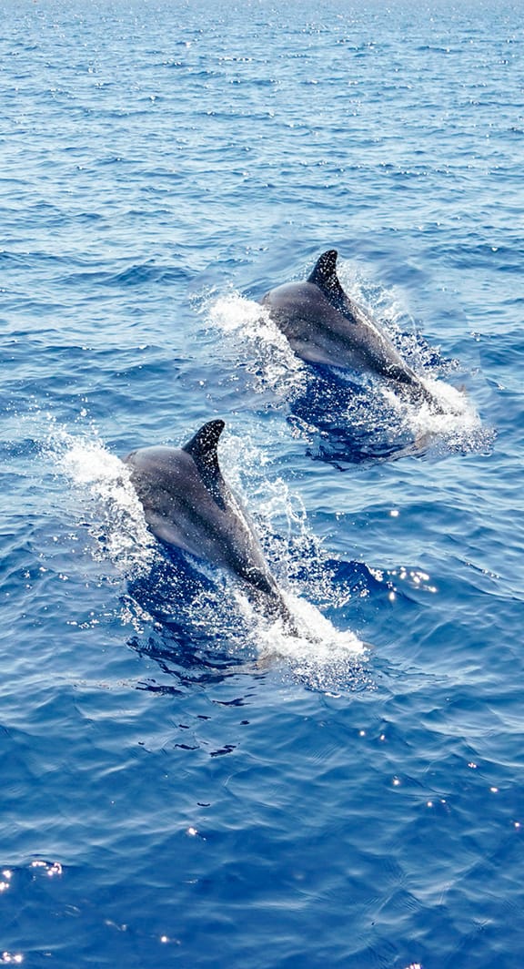 Weather Marina Trogir Detailed bulletin Free 15day Marine