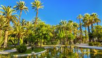 Elche