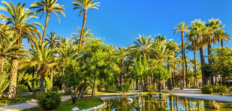 meteo Espagne Elche