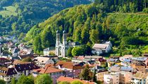 Fribourg-en-Brisgau