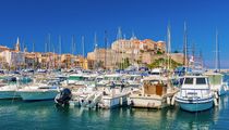Calvi