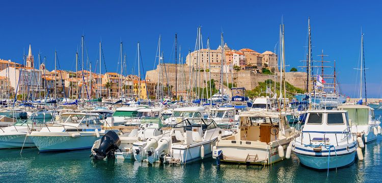 Calvi
