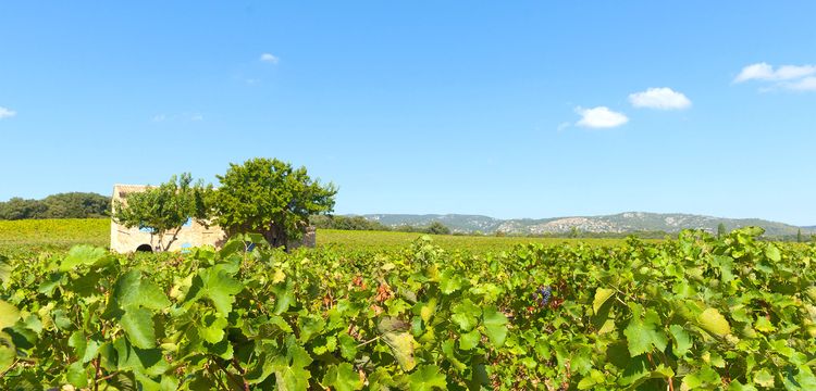 meteo France Corneilhan