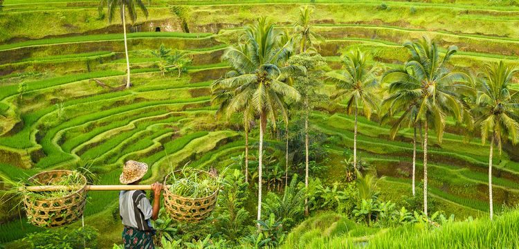 weather India Bali
