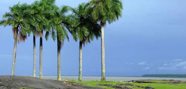 weather France Kourou