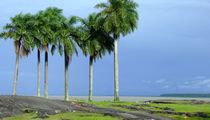 Kourou