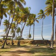Toutes les photos