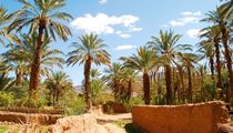 Zagora