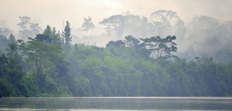 Bangui