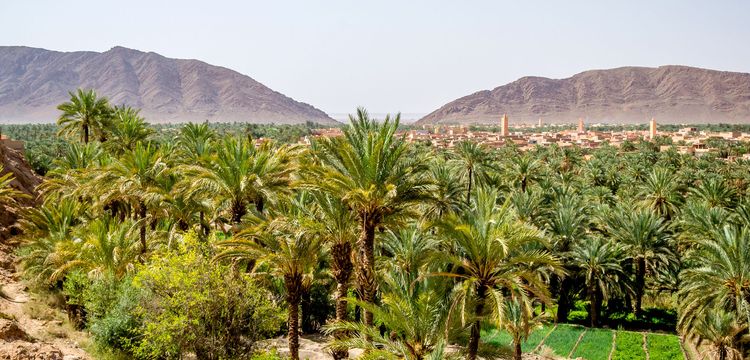 weather Morocco Figuig