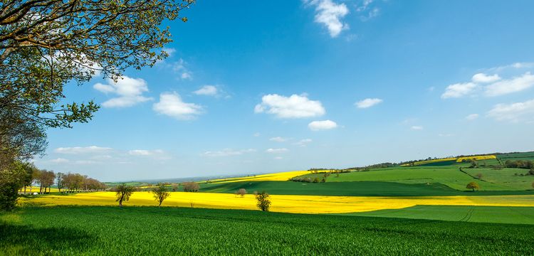 meteo France Allier
