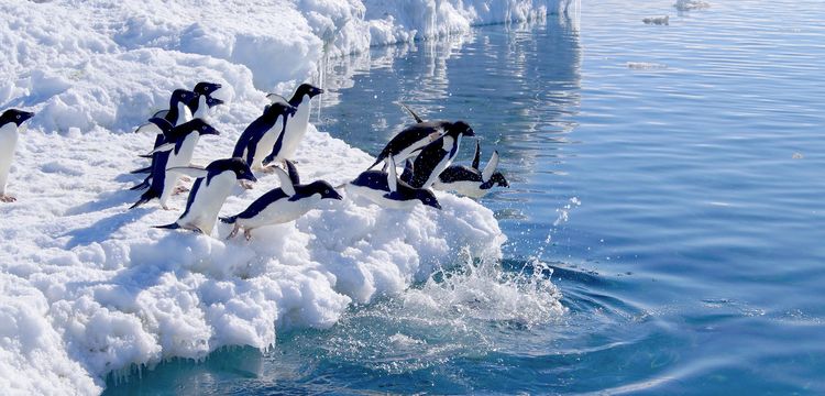weather France French Southern and Antarctic Lands
