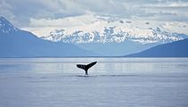 Unalaska