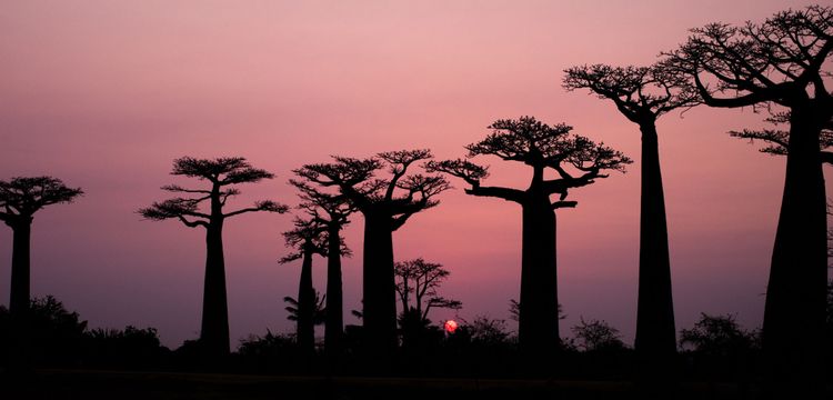 meteo Madagascar Ankofafa Afovoany