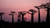Toliara