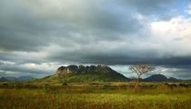 Dedza