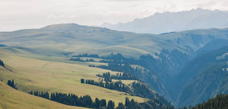 meteo Mongolie Zuungovi