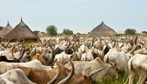 Tonj