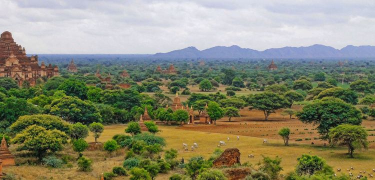meteo Birmanie Amarapura