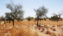 Bobo-Dioulasso